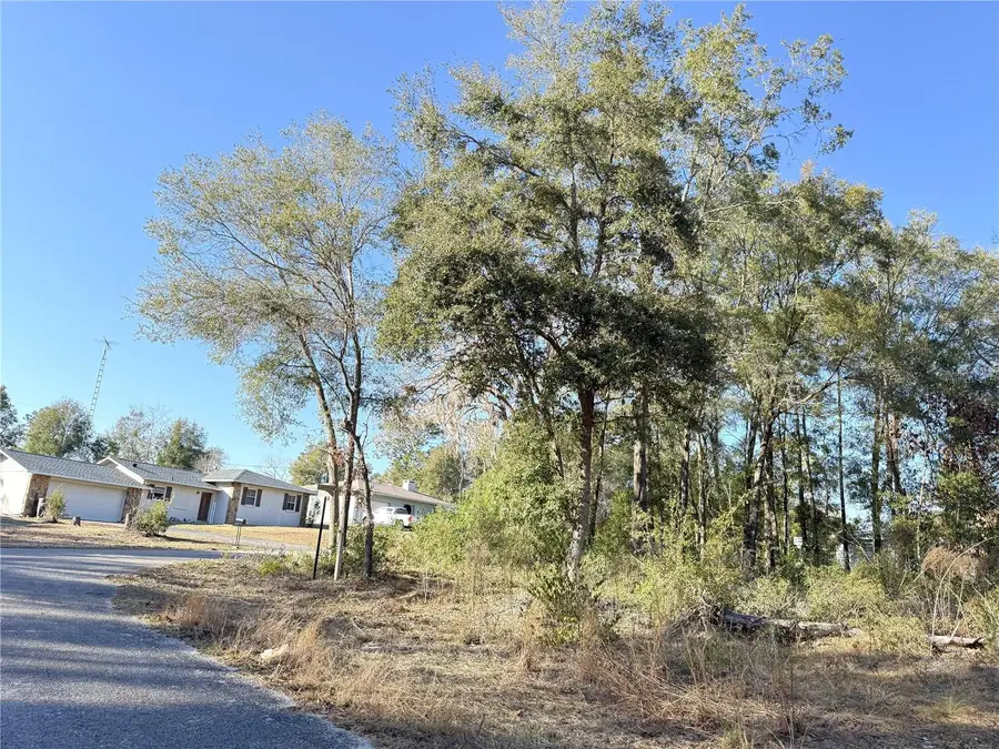 15331 NE 3rd Lane, Williston, FL 32696 - Image #2