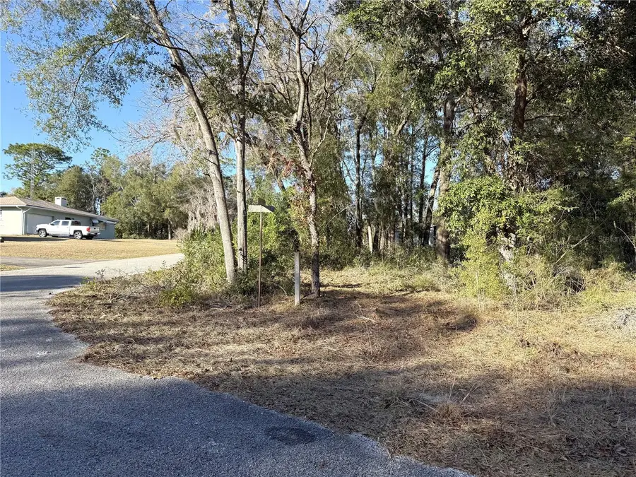 15331 NE 3rd Lane, Williston, FL 32696 - Image #3