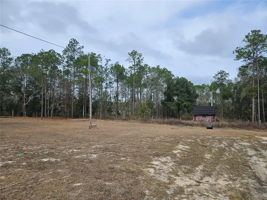 13391 NE 43rd Lane, Williston, FL 32696 - Image #2