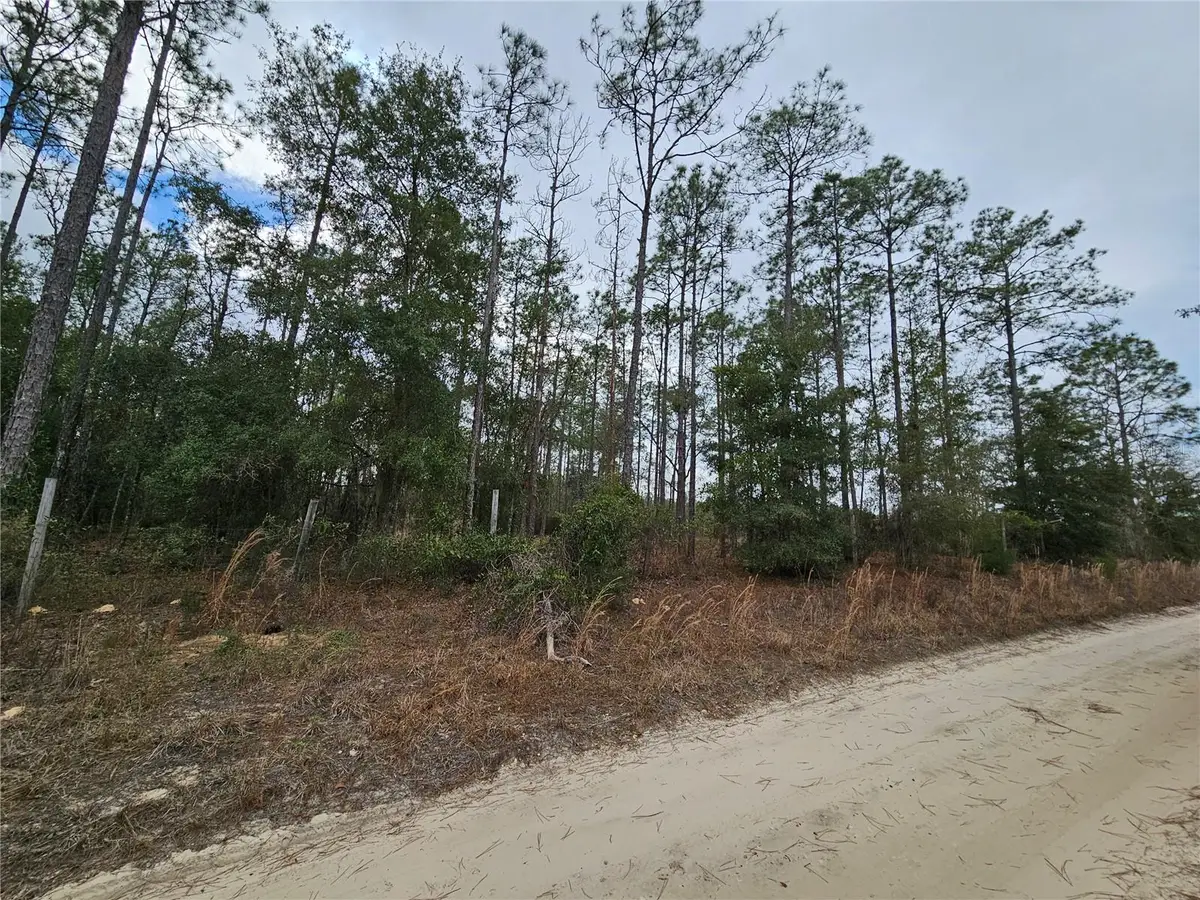 tbd NE 45th Street, Williston, FL 32696 - Image #1