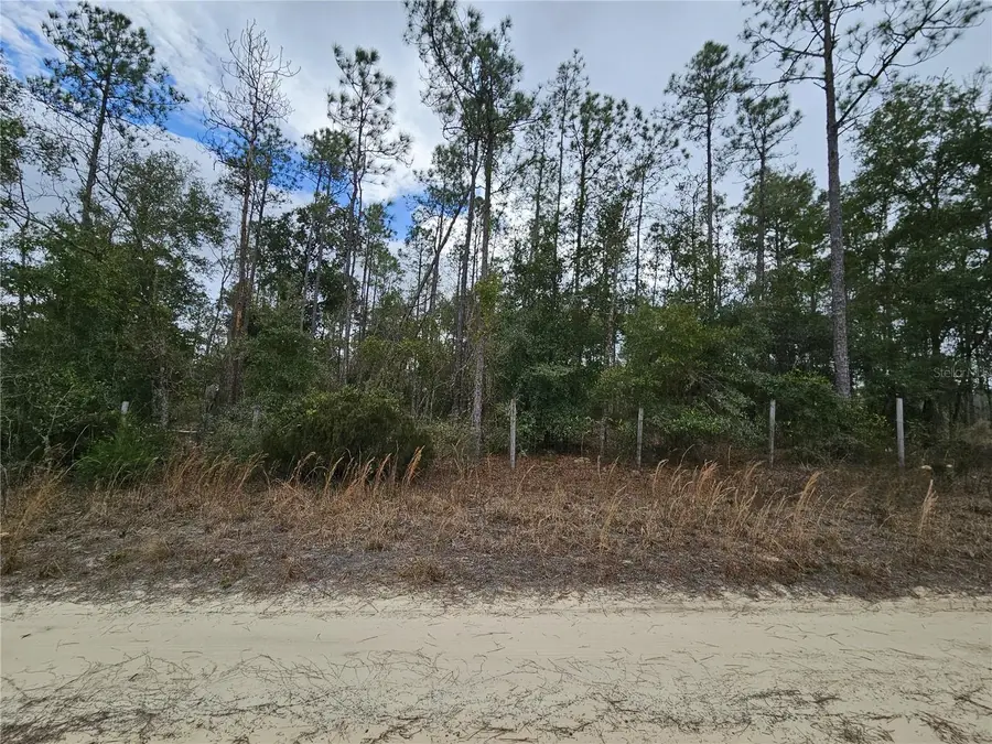 tbd NE 45th Street, Williston, FL 32696 - Image #2