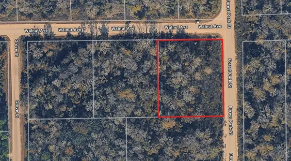 3977 Walnut Avenue, BUNNELL, FL 32110