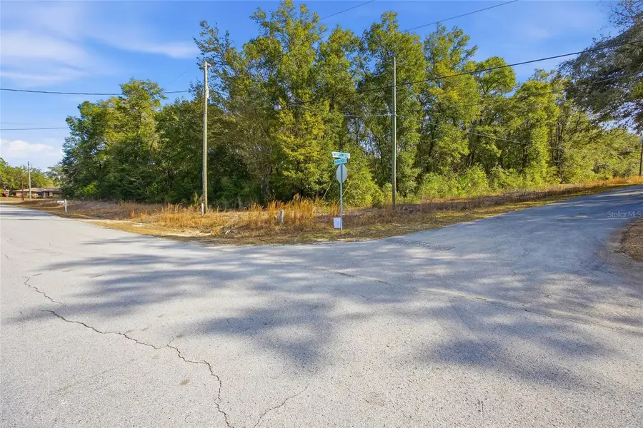 Lot 163 SW Shorewood Drive, Dunnellon, FL 34431 - Image #3
