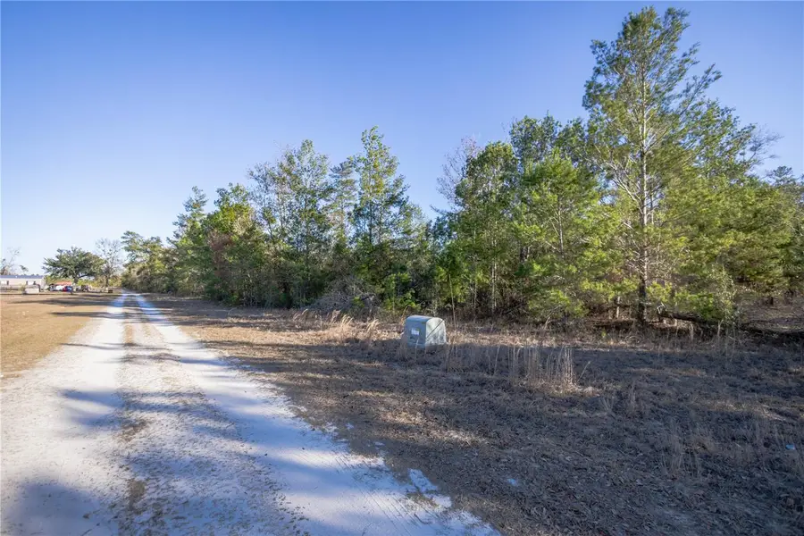 Se Rogers Sink Road, Madison, FL 32340 - Image #3