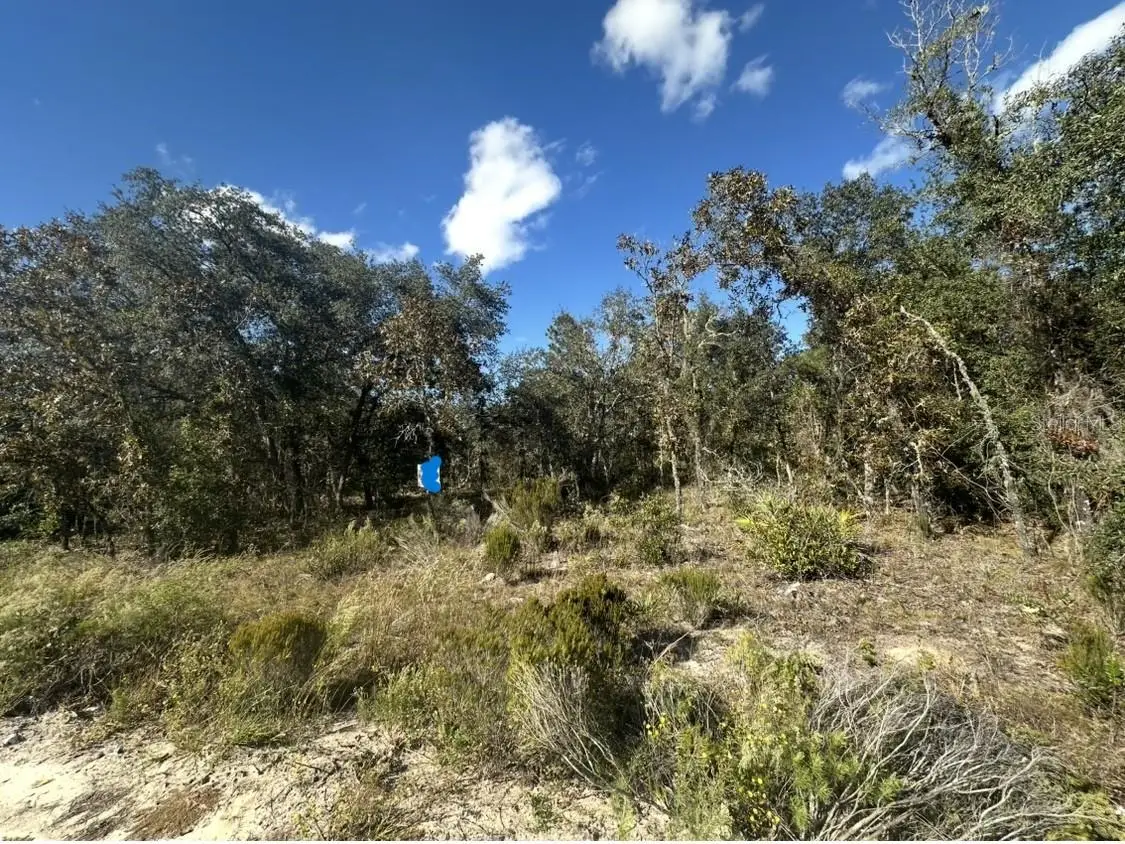 Ne 66th Street, Bronson, FL 32621 - #1