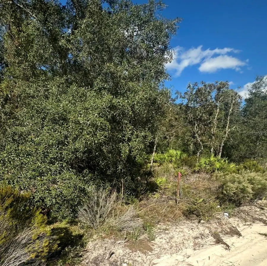 Ne 66th Street, Bronson, FL 32621 - #3