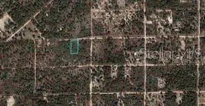 TBD NE 90th Street, Bronson, FL 32621 - #1