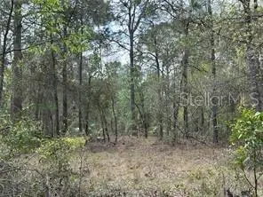 TBD NE 12th Lane, Williston, FL 32696 - #3