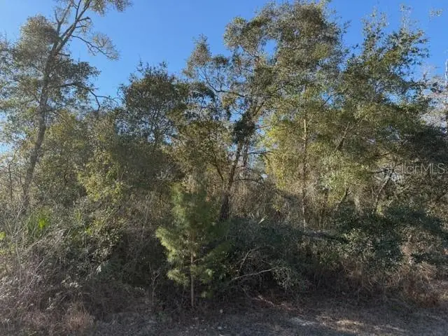 TBD SW 158th Street Road, Ocala, FL 34473 - #2