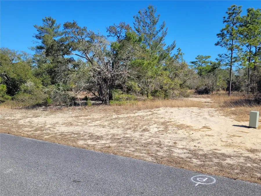 3138 W Redgate Drive, Dunnellon, FL 34433 - Image #3