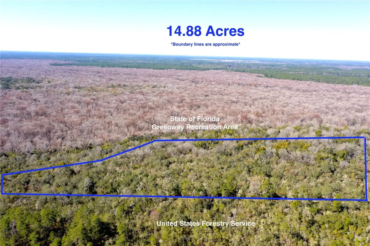 TBD NE 170th Avenue Road, Fort McCoy, FL 32134 - #1