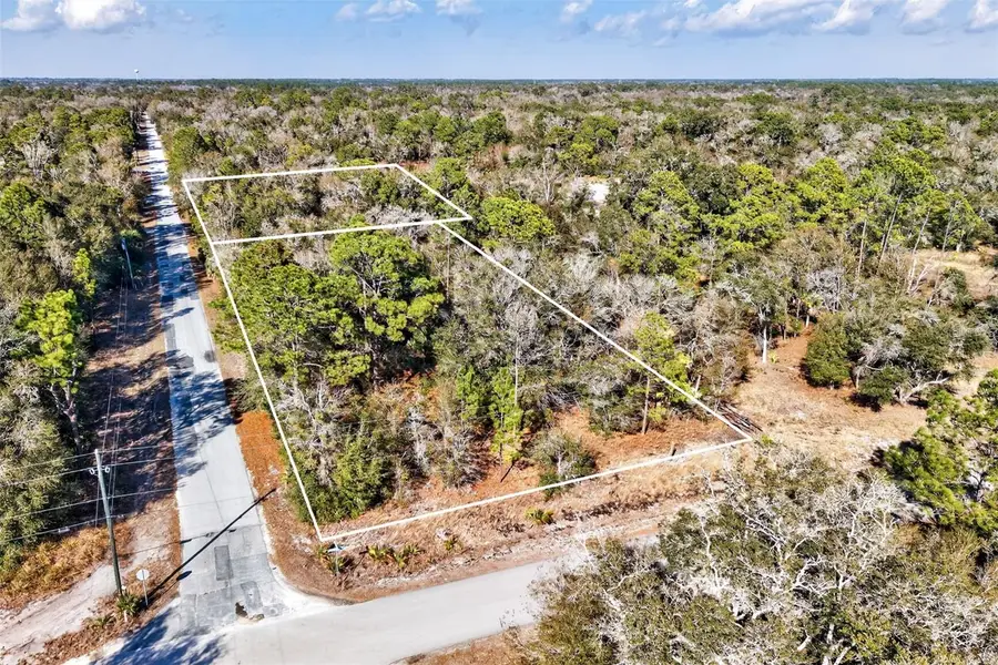 10051 N Marigold Terrace, Crystal River, FL 34428 - #2