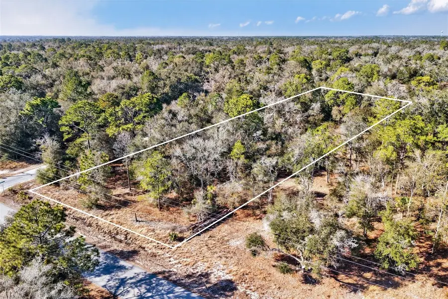 10051 N Marigold Terrace, Crystal River, FL 34428 - #3