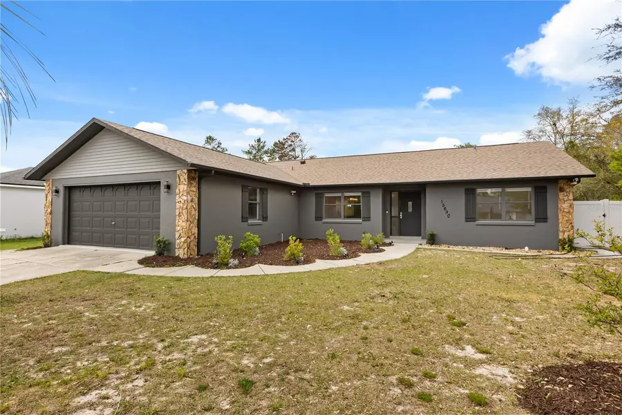 15690 SW 46th Circle, Ocala, FL 34473 - #3