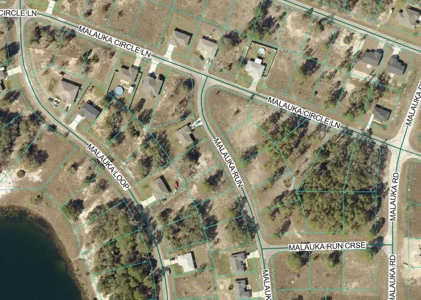 Malauka Run, Ocklawaha, FL 32179 - #2