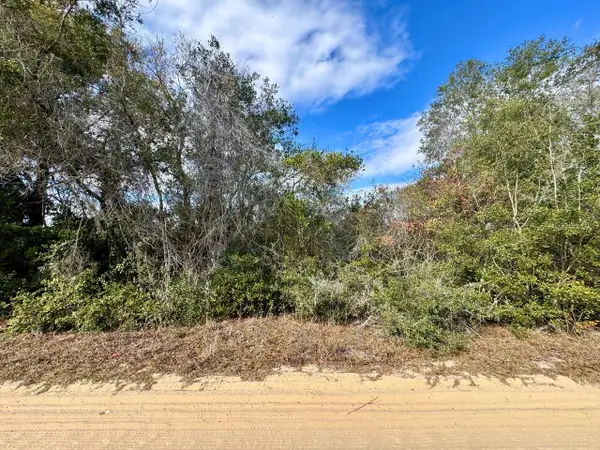 NE 235th Street, FORT MC COY, FL 32134