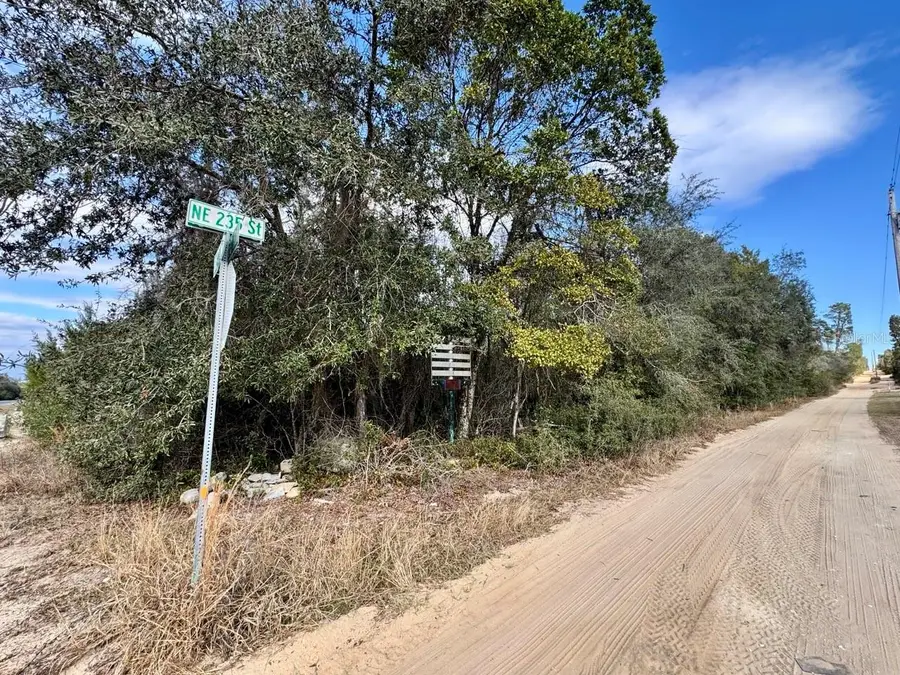 NE 235th Street, Fort McCoy, FL 32134 - #2