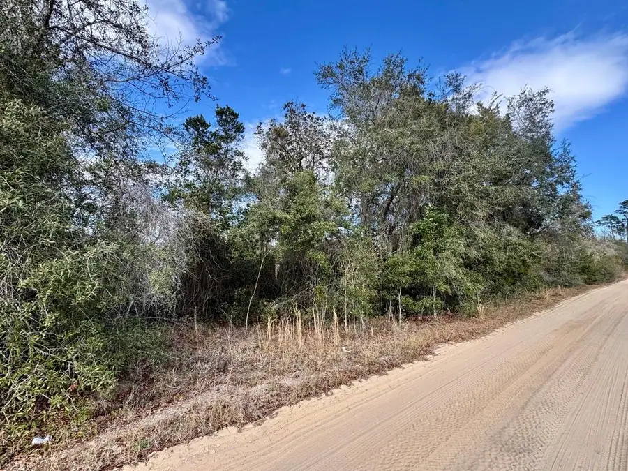 NE 235th Street, Fort McCoy, FL 32134 - #3