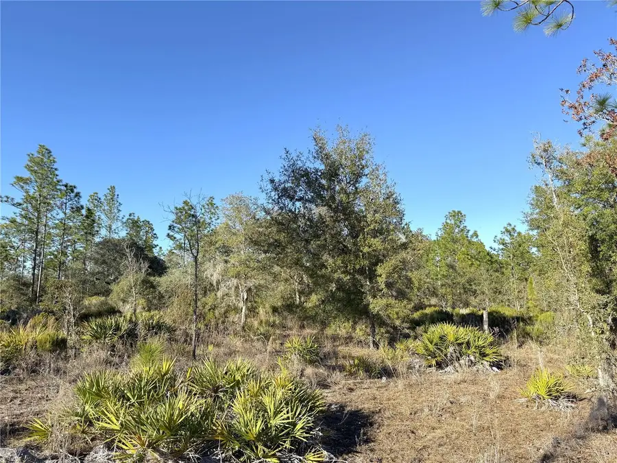 0 NE 121st Street, Archer, FL 32618 - #2