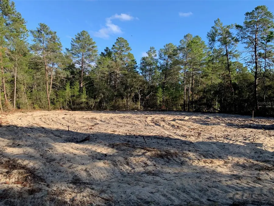 6125 N Canyon Drive, Beverly Hills, FL 34465 - #2