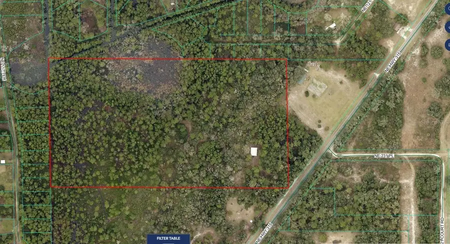 NE Hwy 315 Highway, Fort McCoy Anthony, FL 32134 - #3
