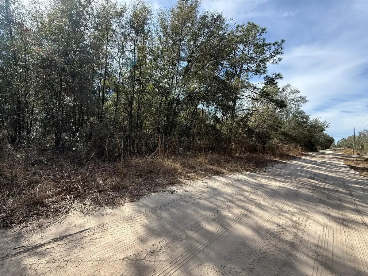 0000 NE 82nd Place, Bronson, FL 32621 - #1