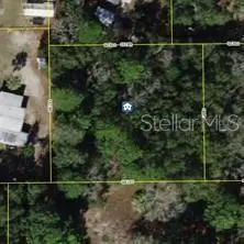 6864 W Ottas Court, Crystal River, FL 34429 - #2