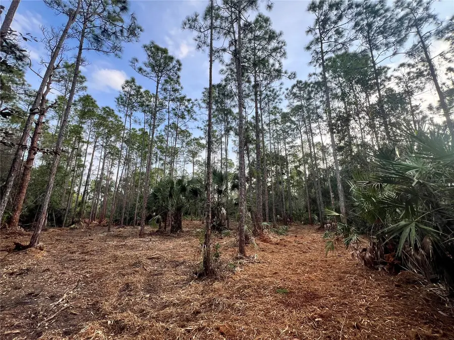 Pantera Ln, Naples, FL 34120 - Image #2