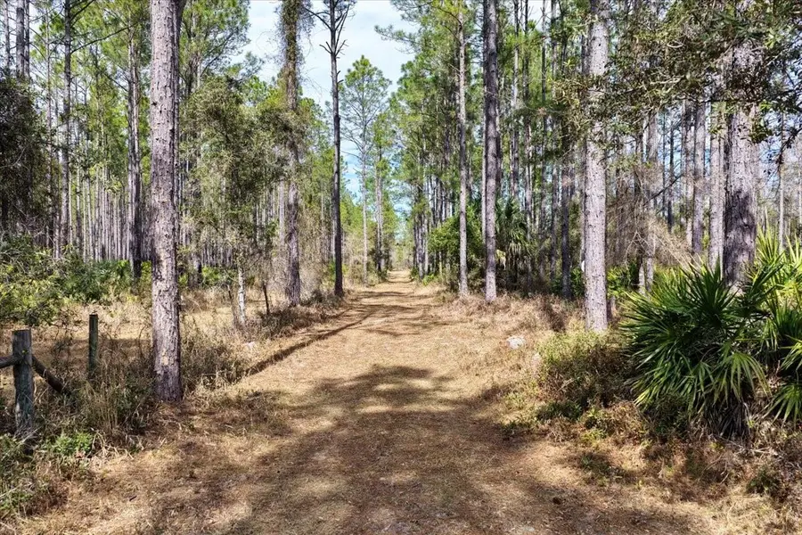 60 Acres NW Clyatt Road, Chiefland, FL 32626 - #3