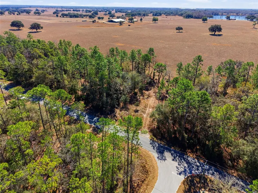 24456 SW Tiger Lake Boulevard W, Dunnellon, FL 34431 - #3