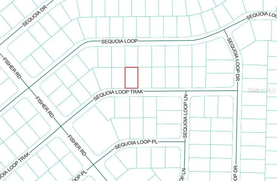 Sequoia Loop Track, Ocklawaha, FL 32179 - #1