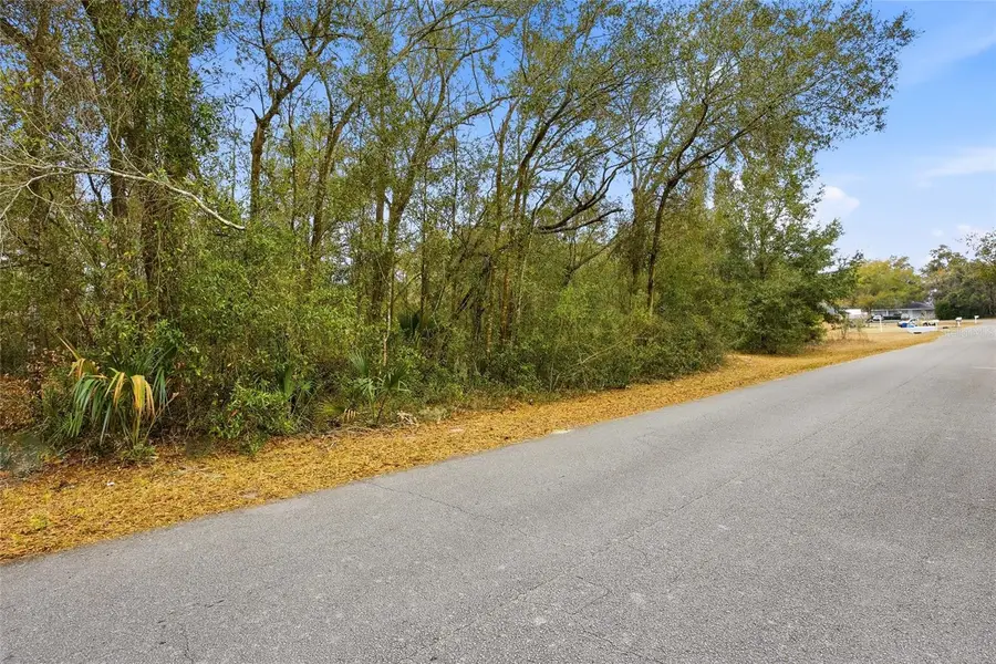 Lot 3 SW 95th Place, Ocala, FL 34476 - #3