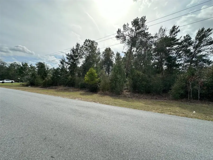 0 SW 110th Street, Ocala, FL 34476 - #3