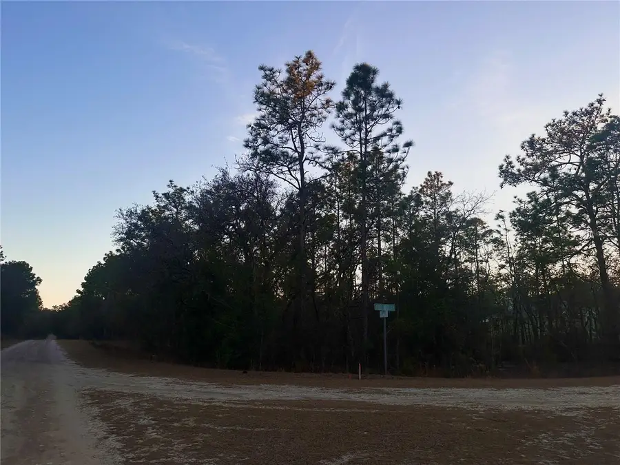 0000 SW 130th Terrace, Dunnellon, FL 34434 - #2