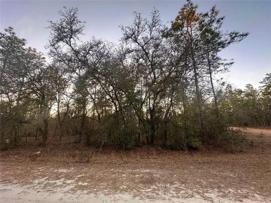 0000 SW 130th Terrace, Dunnellon, FL 34434 - #3