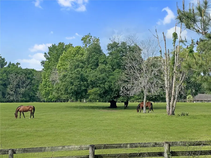 5378 W Highway 329, Reddick, FL 32686 - #2