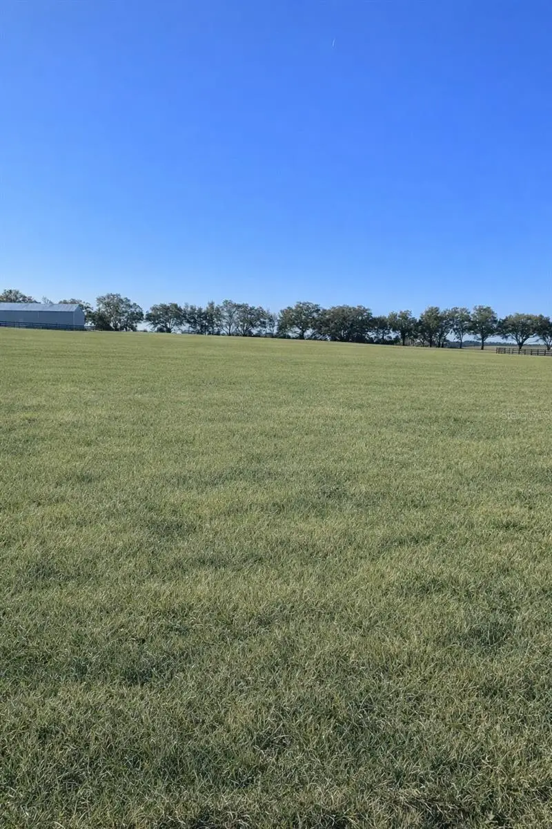 TBD SW 6 Lane, Dunnellon, FL 34431 - #3