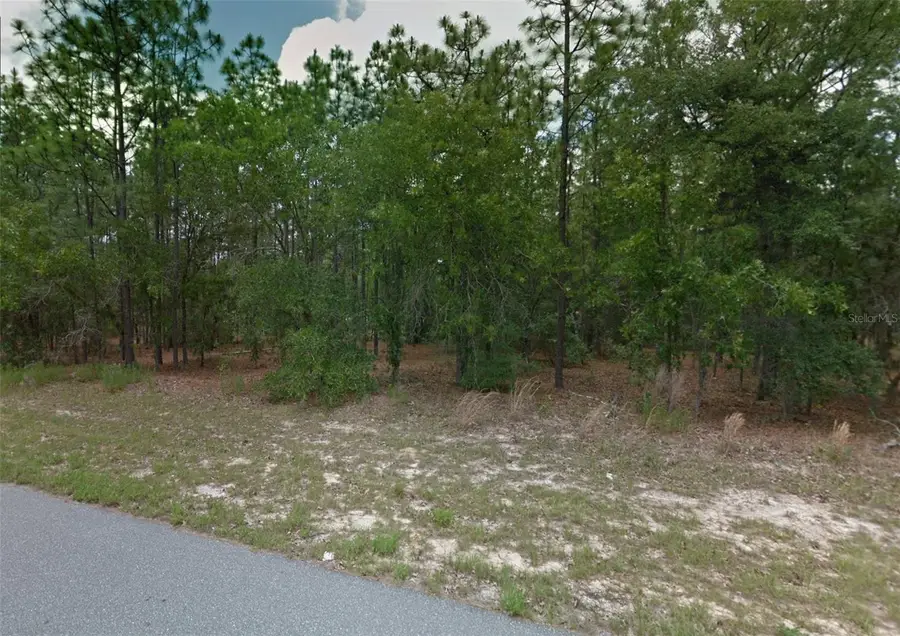 1449 W Omaha Place, Citrus Springs, FL 34434 - #2