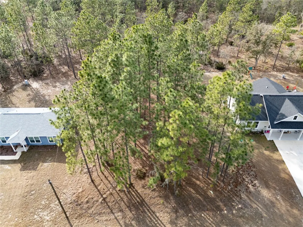 Tbd Ne 150th Avenue, Williston, FL 32696 - #1