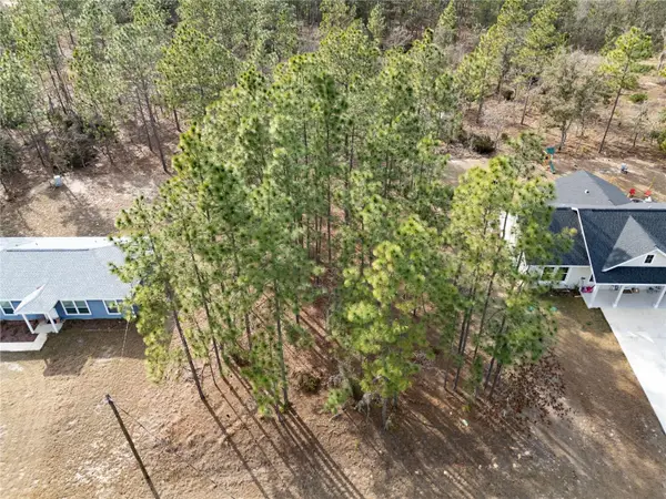 Tbd Ne 150th Avenue, WILLISTON, FL 32696