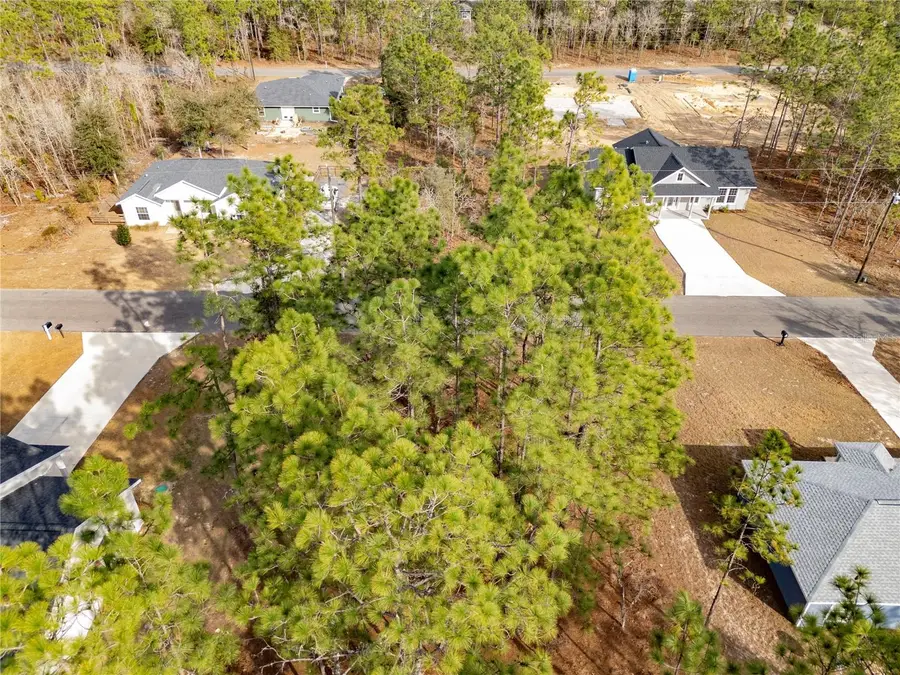 Tbd Ne 150th Avenue, Williston, FL 32696 - #3