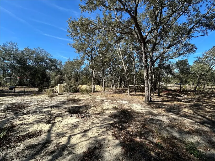 11431 NE 71st Street, Bronson, FL 32621 - #3