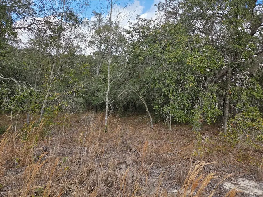 21531 SE 68th Lane, Morriston, FL 32668 - #2