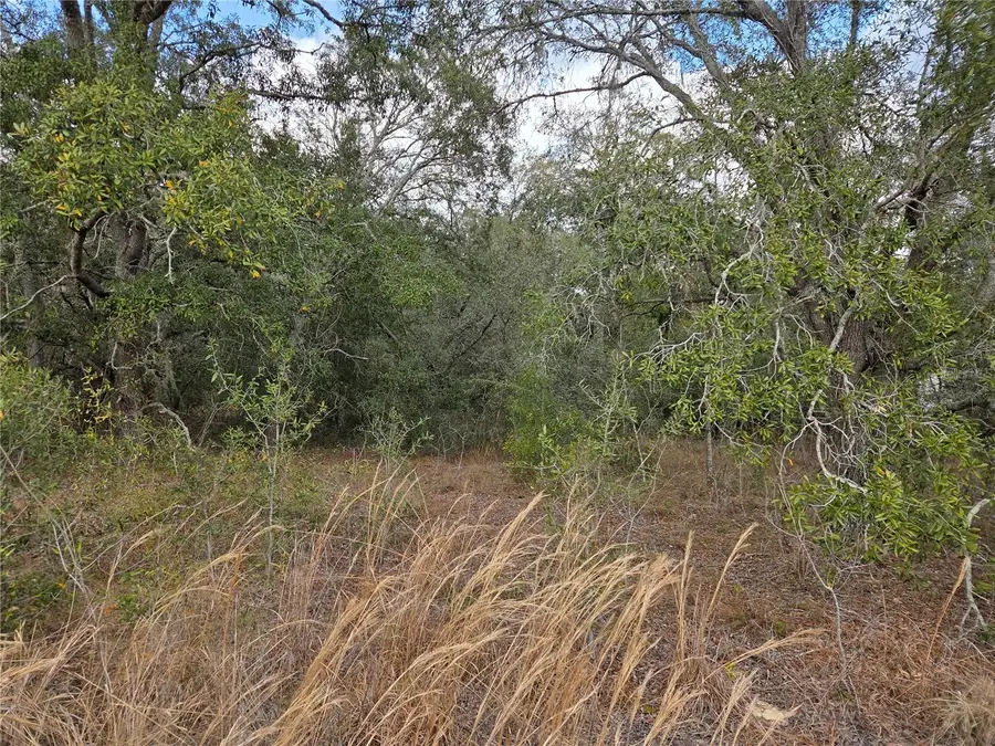 21531 SE 68th Lane, Morriston, FL 32668 - #3