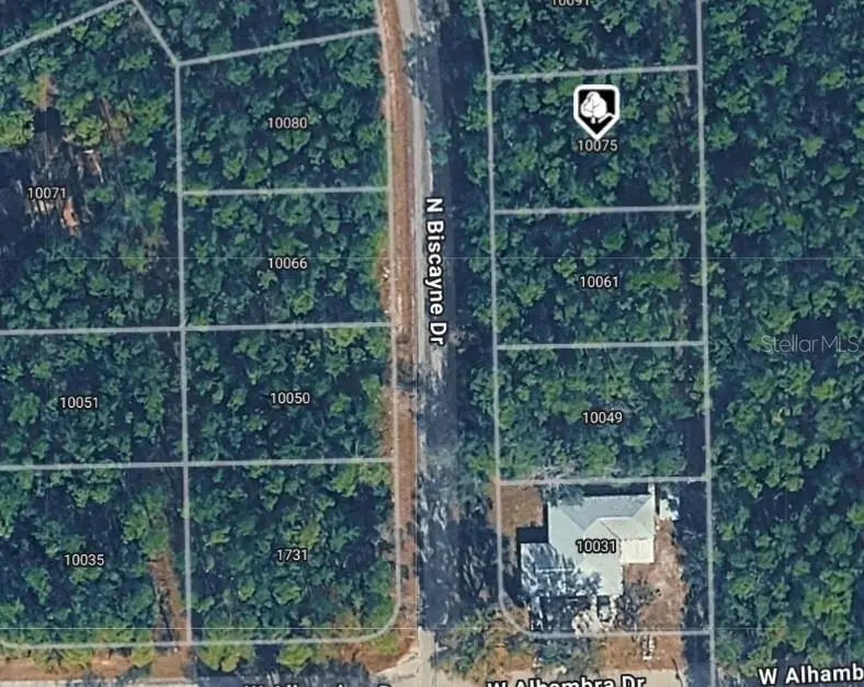 10075 N Biscayne Drive, Citrus Springs, FL 34434 - #1