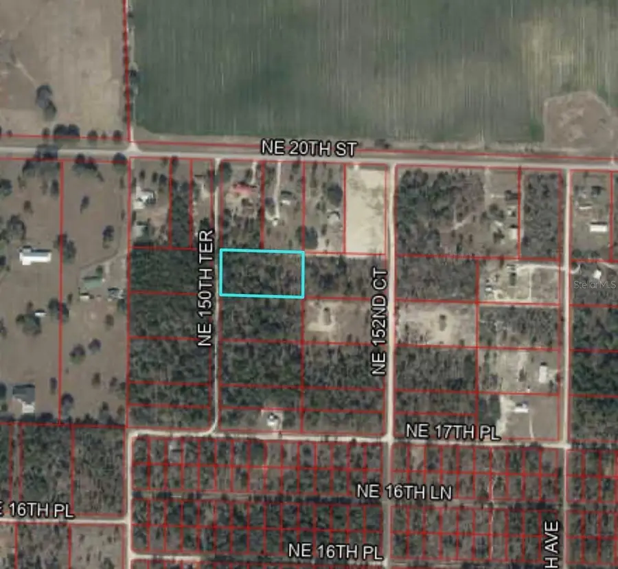 TBD NE 150th Terrace, Williston, FL 32696 - #3