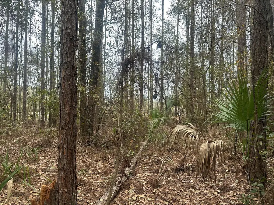 NW 170th Street, Reddick, FL 32686 - #3