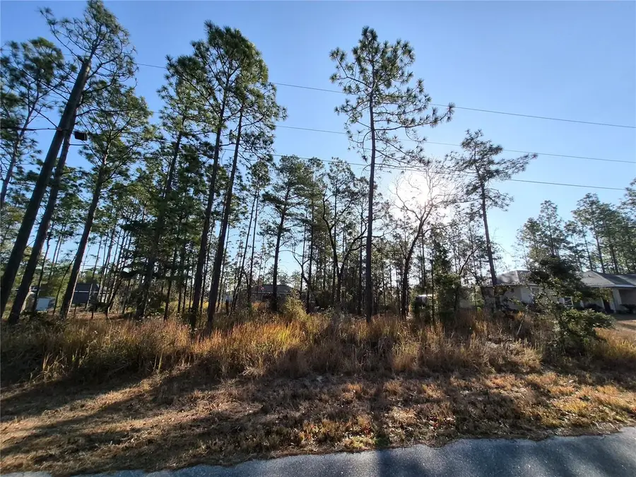 215 Oak Lane Circle, Ocala, FL 34472 - #2