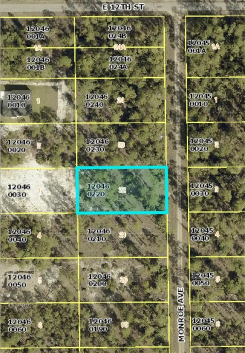 1119 Monroe Avenue, Lehigh Acres, FL 33972 - #1