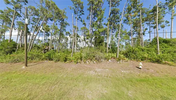 129 Hobo Road, ROTONDA WEST, FL 33947
